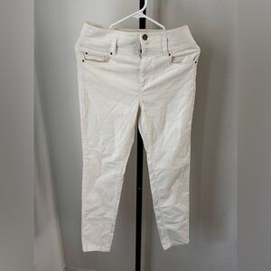 Ann Taylor size 4P velour pants